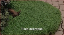 2302.jpg