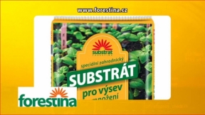 5577.jpg