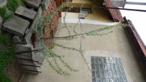 6951.jpg