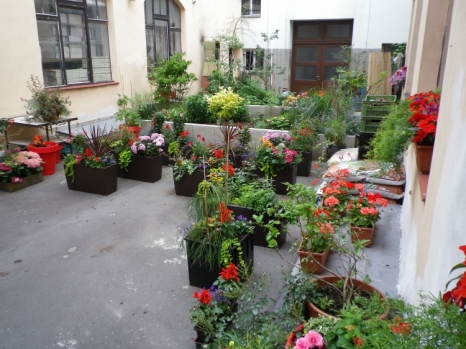 2006.jpg