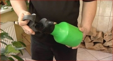 2466.jpg