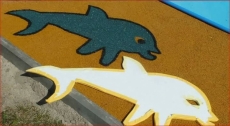 2677.jpg