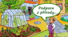 3117.jpg