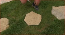3619.jpg