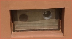4065.jpg