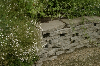4126.jpg