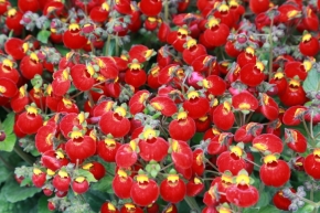 4690.jpg