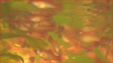 4813.jpg