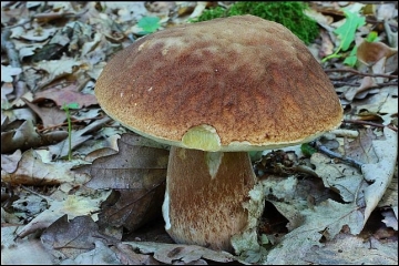 6880.jpg