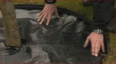7639.jpg